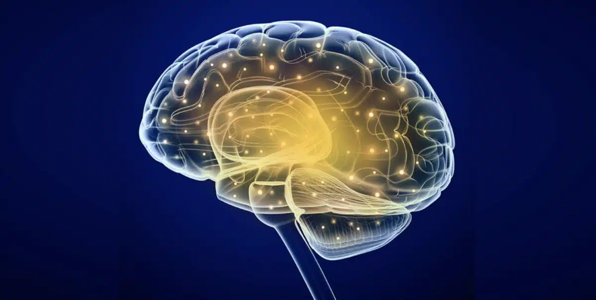 Sol Medical Group - Preview