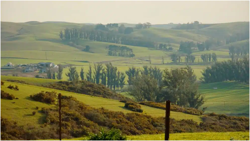 Sonoma Recovery Services LLC - Preview