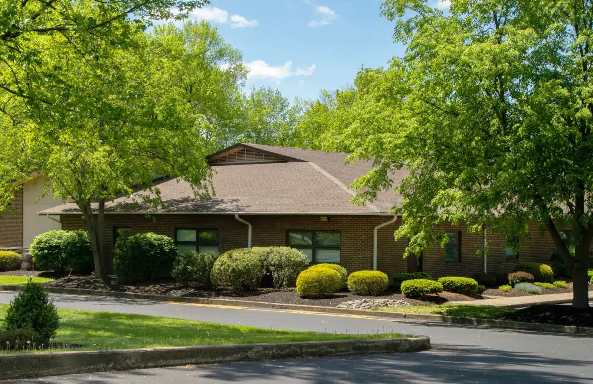 Steps to Recovery - Preview