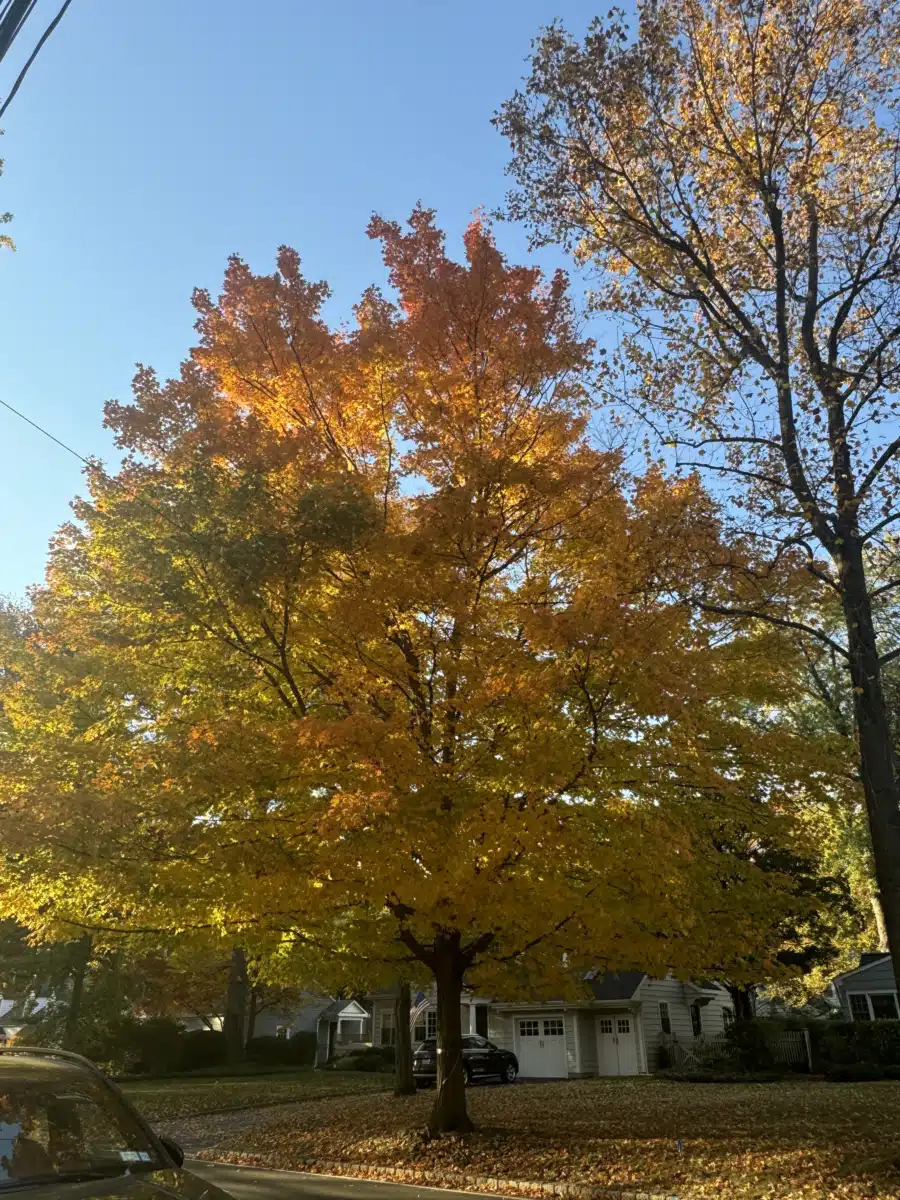 Summit Oaks Hospital - Preview