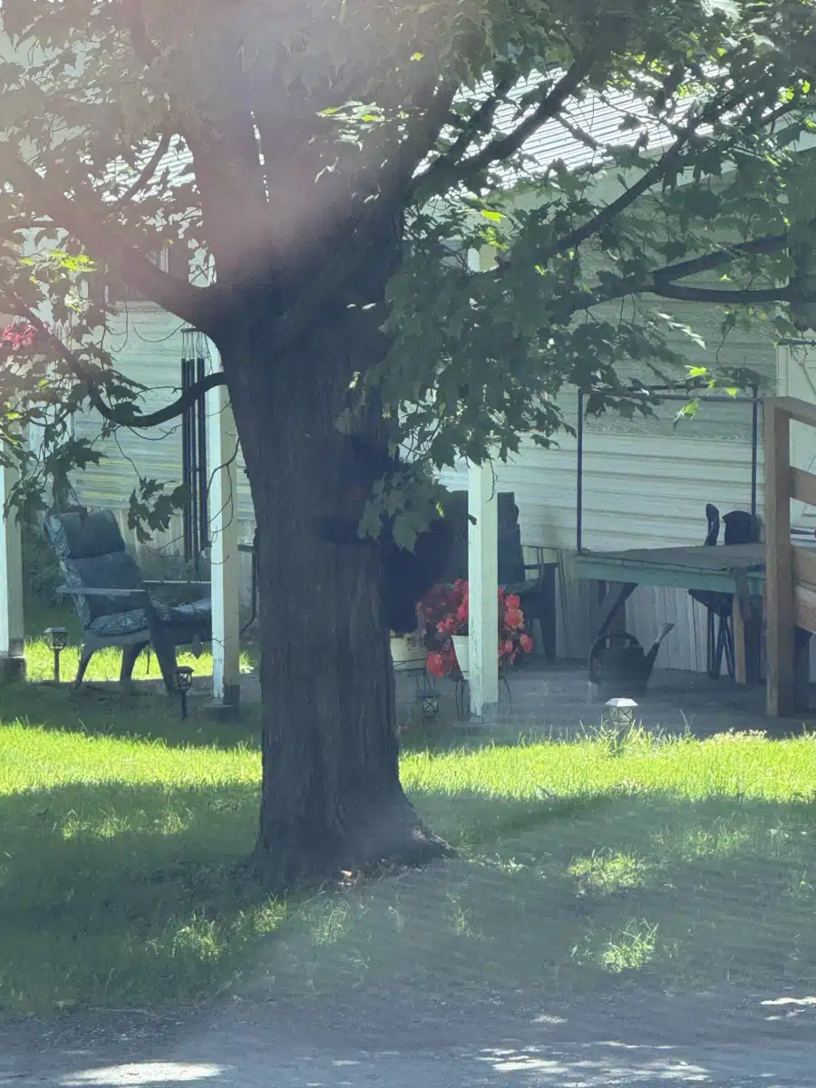 University of Vermont Medical Center - Hero Image