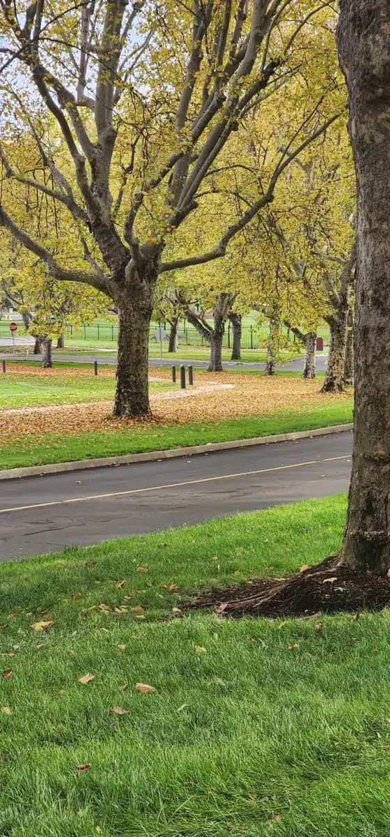 VA Roseburg Healthcare System - Preview