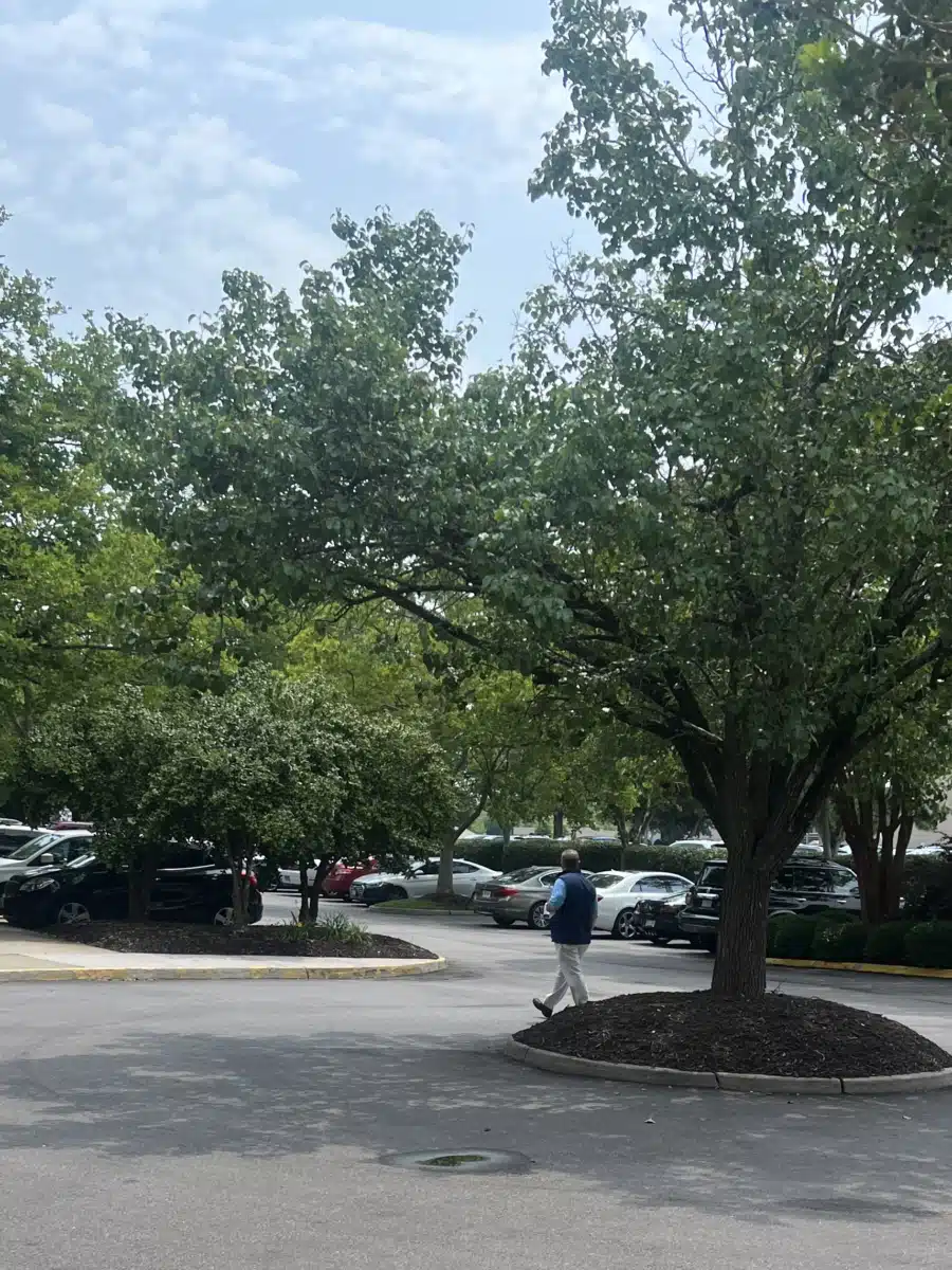 Virginia Beach Psychiatric Center - Preview