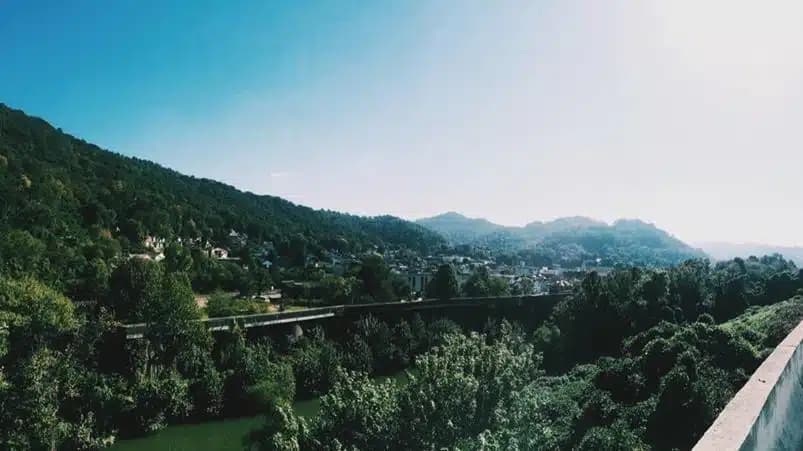 Williamson Health and Wellness Center - Preview