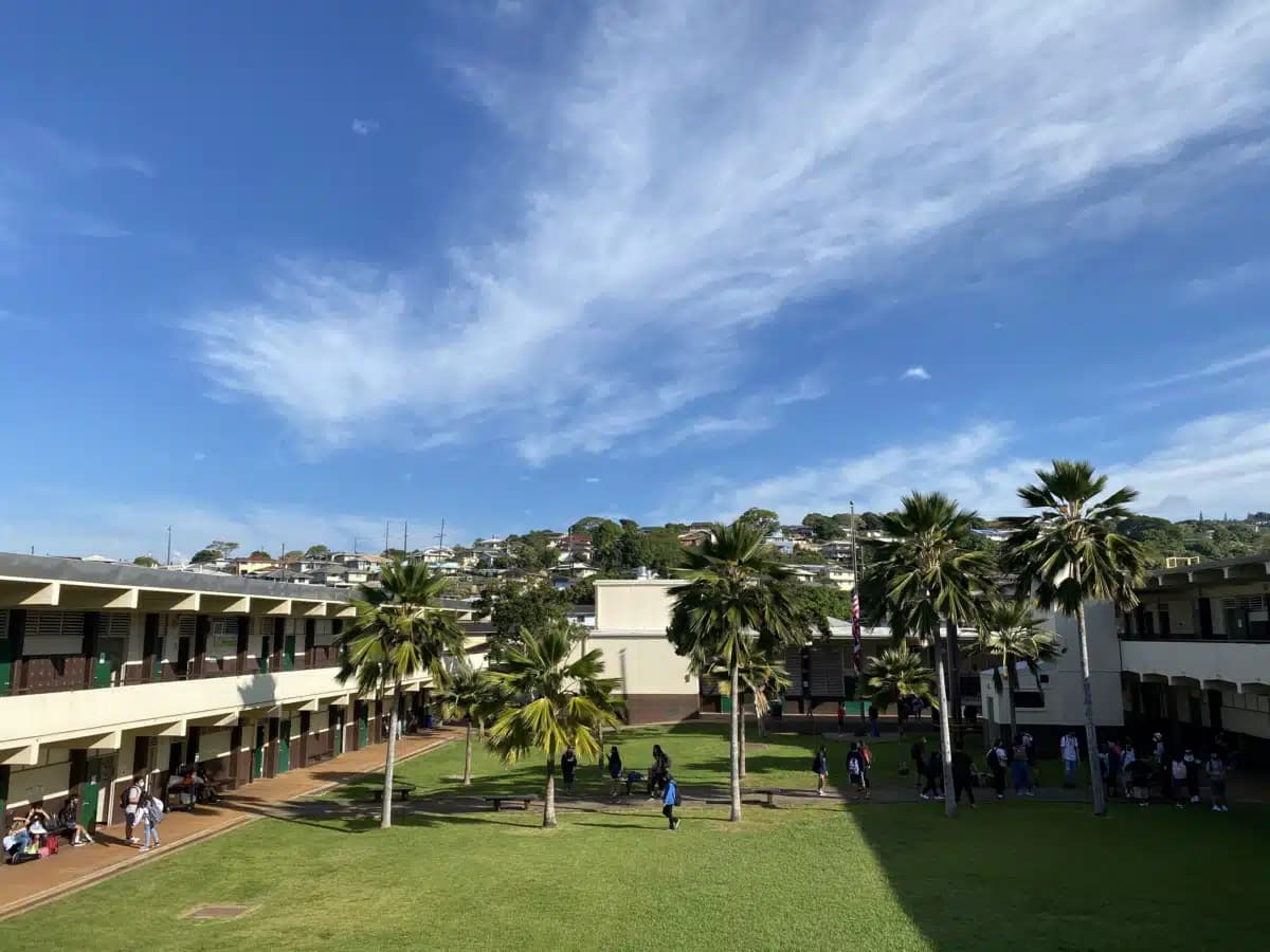 YMCA of Honolulu - Preview